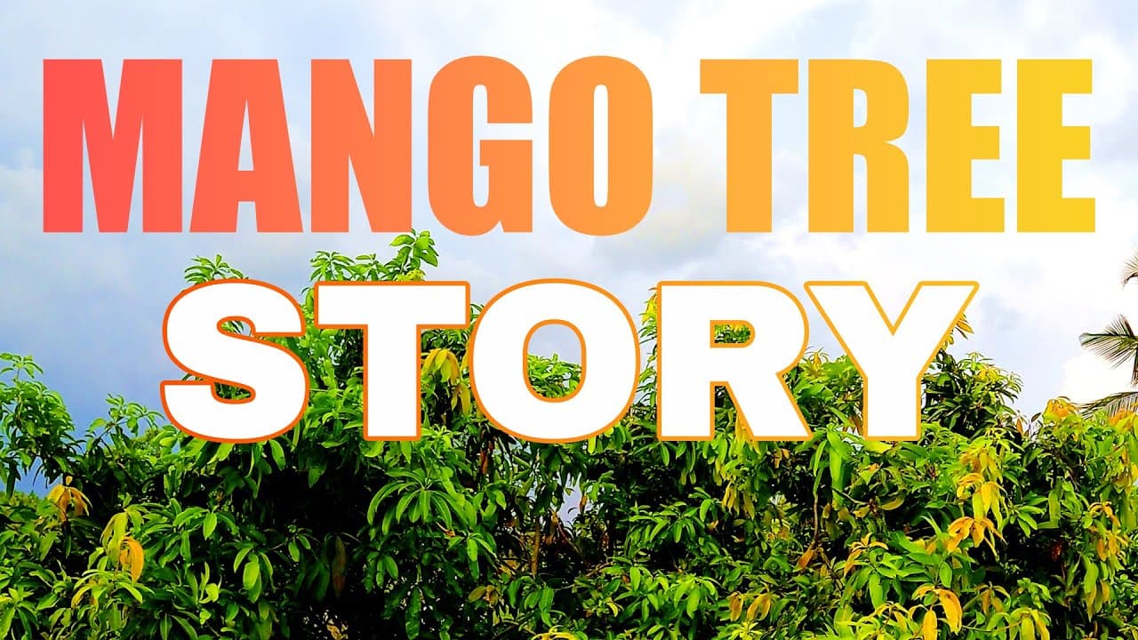 History of my Mango Tree 🌳 | A climb by @mkdr390   | Raw Mango with chilli and salt masala 🤩🤩